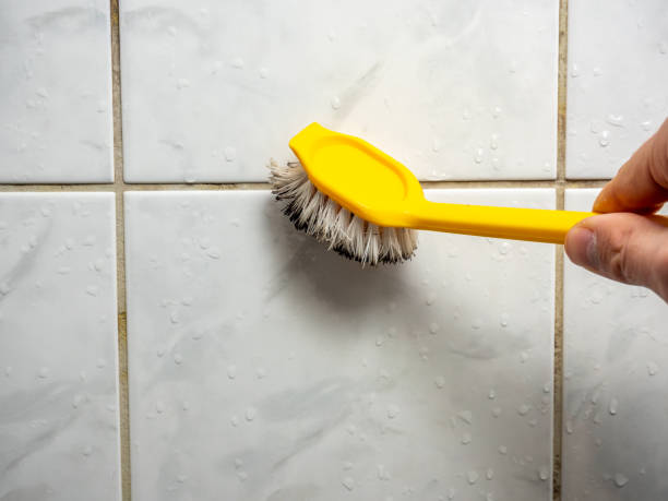 Best Mold Inspection  in Tuckerton, NJ