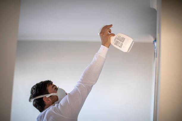 Best Office Mold Removal Services  in Tuckerton, NJ
