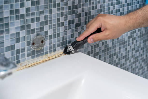 Best Affordable Mold Removal  in Tuckerton, NJ