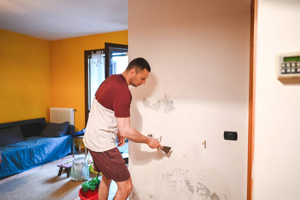 Best Mold Damage Repair  in Tuckerton, NJ