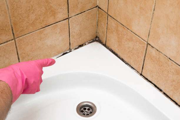 Best Residential Mold Removal  in Tuckerton, NJ